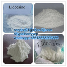 Base de Lidocaine de poudre anesthésique locale directe usine CAS 137-58-6 de 99%